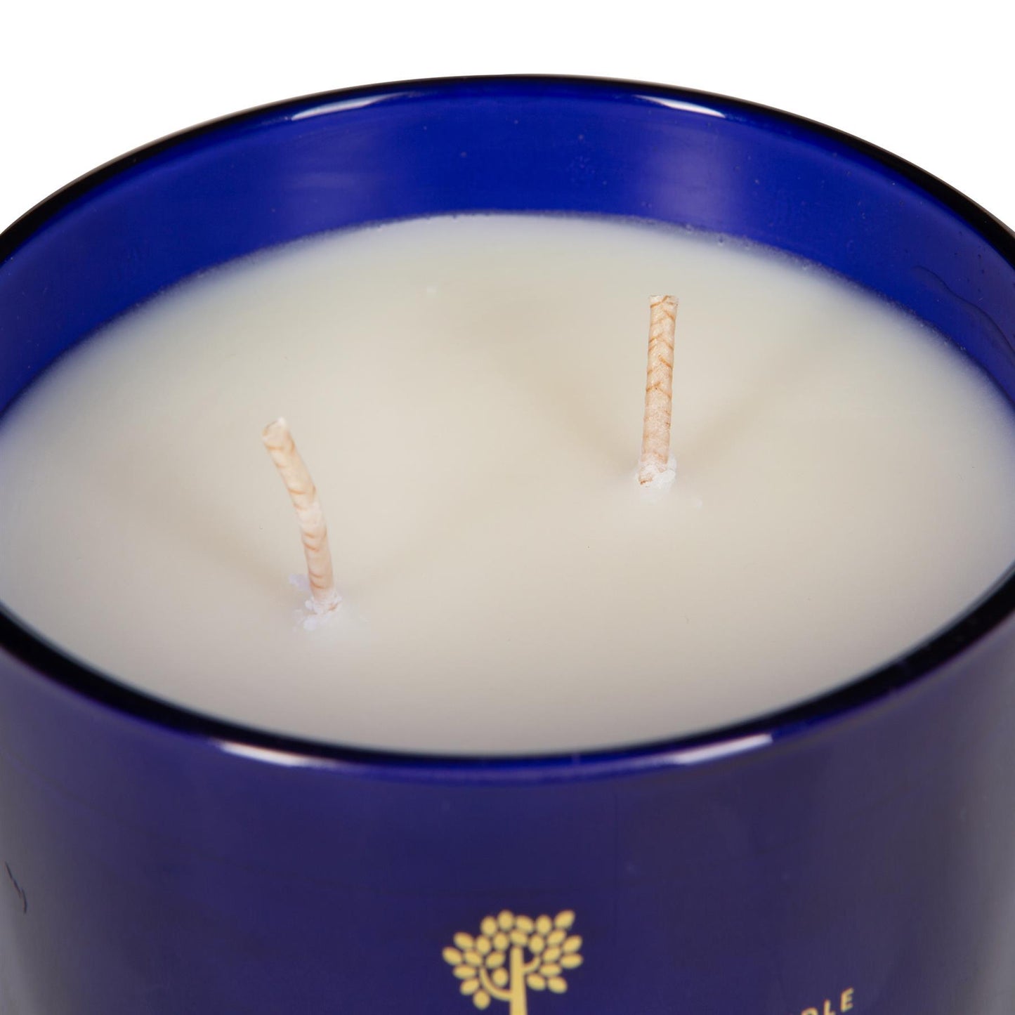 350g Double Wick Patchouli Rosewood Wax Candle Nicola Spring