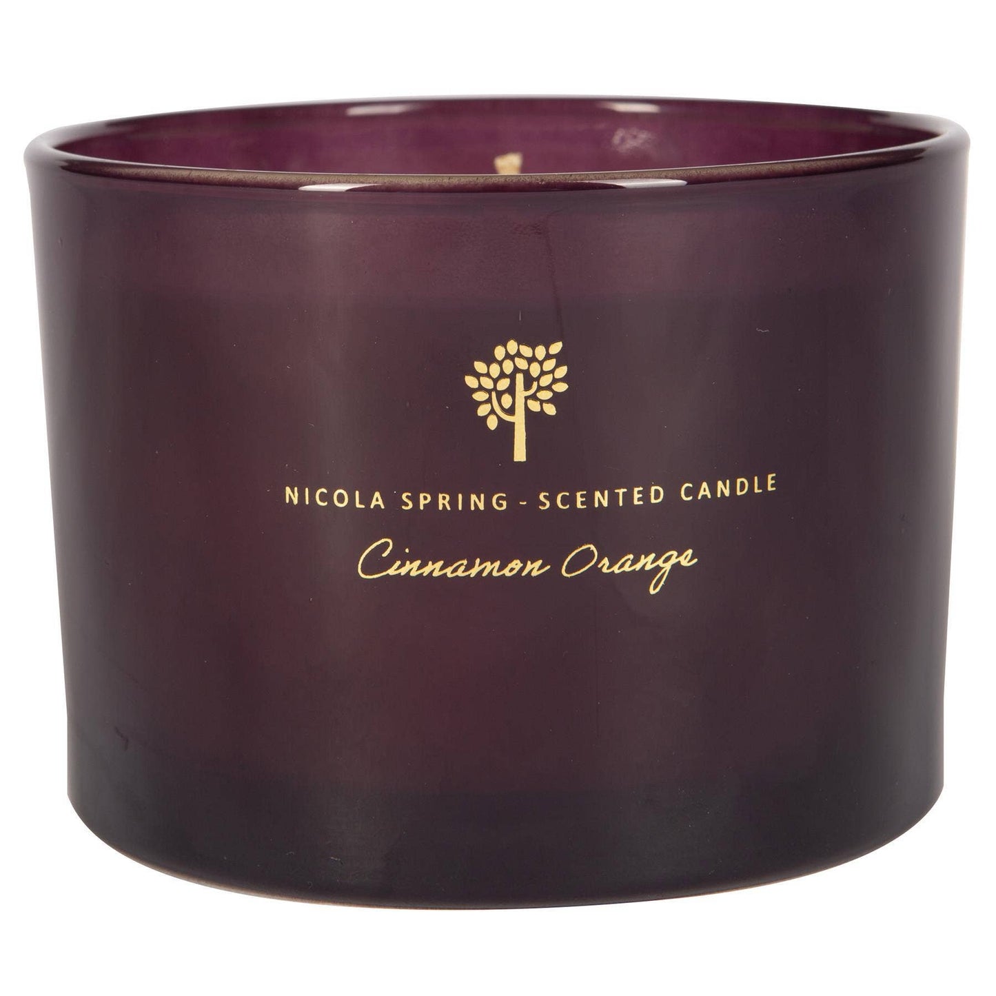 350g Double Wick Cinnamon Orange Wax Candle Nicola Spring