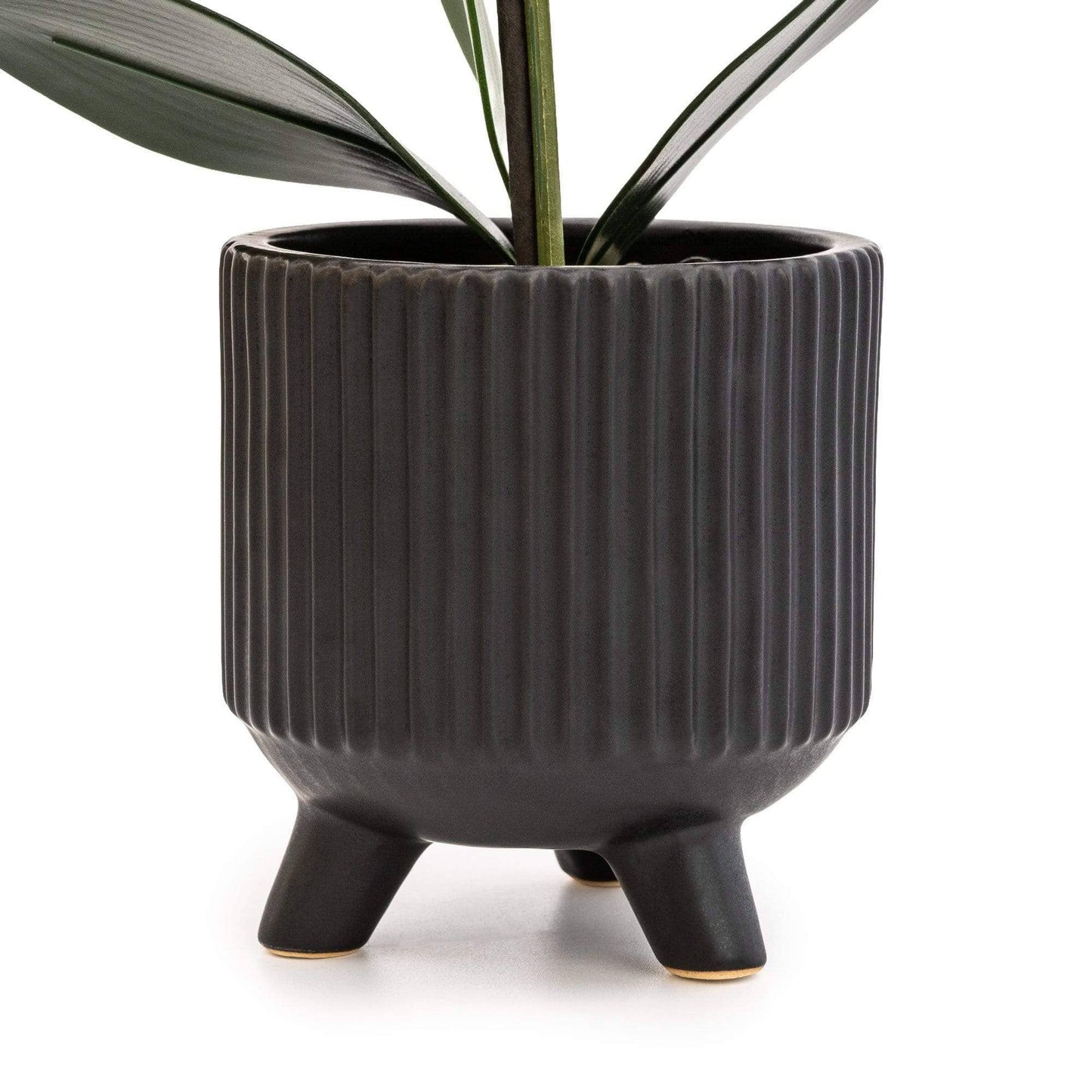 Black Orchid in Matte Black Ceramic Footed Pot 42cm