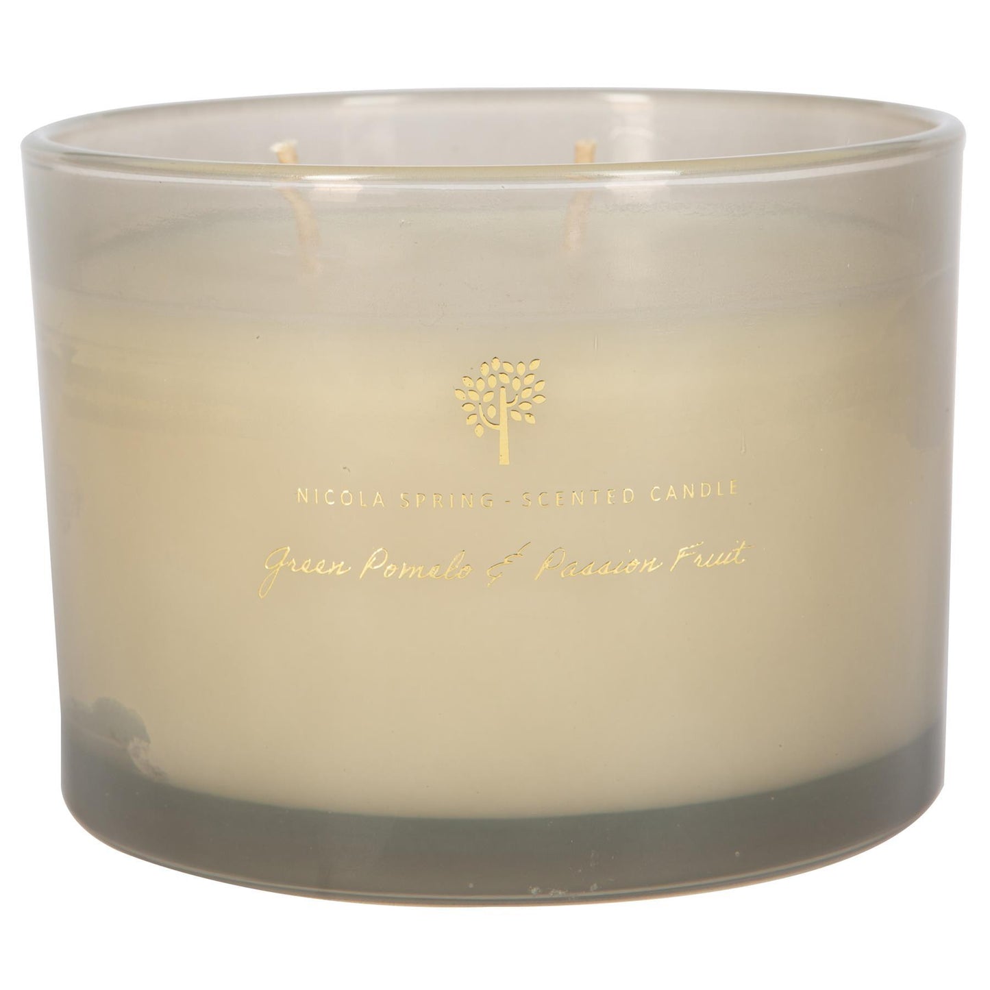 350g Double Wick Passion Fruit Wax Candle Nicola Spring