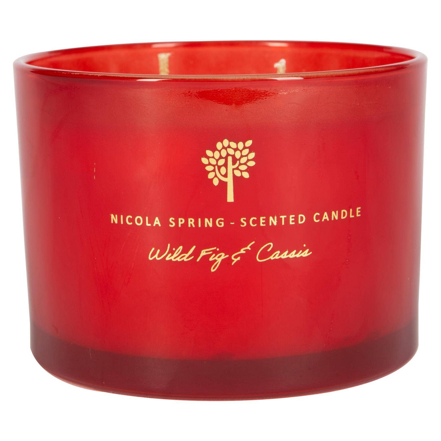 350g Double Wick Fig & Cassis Wax Candle Nicola Spring