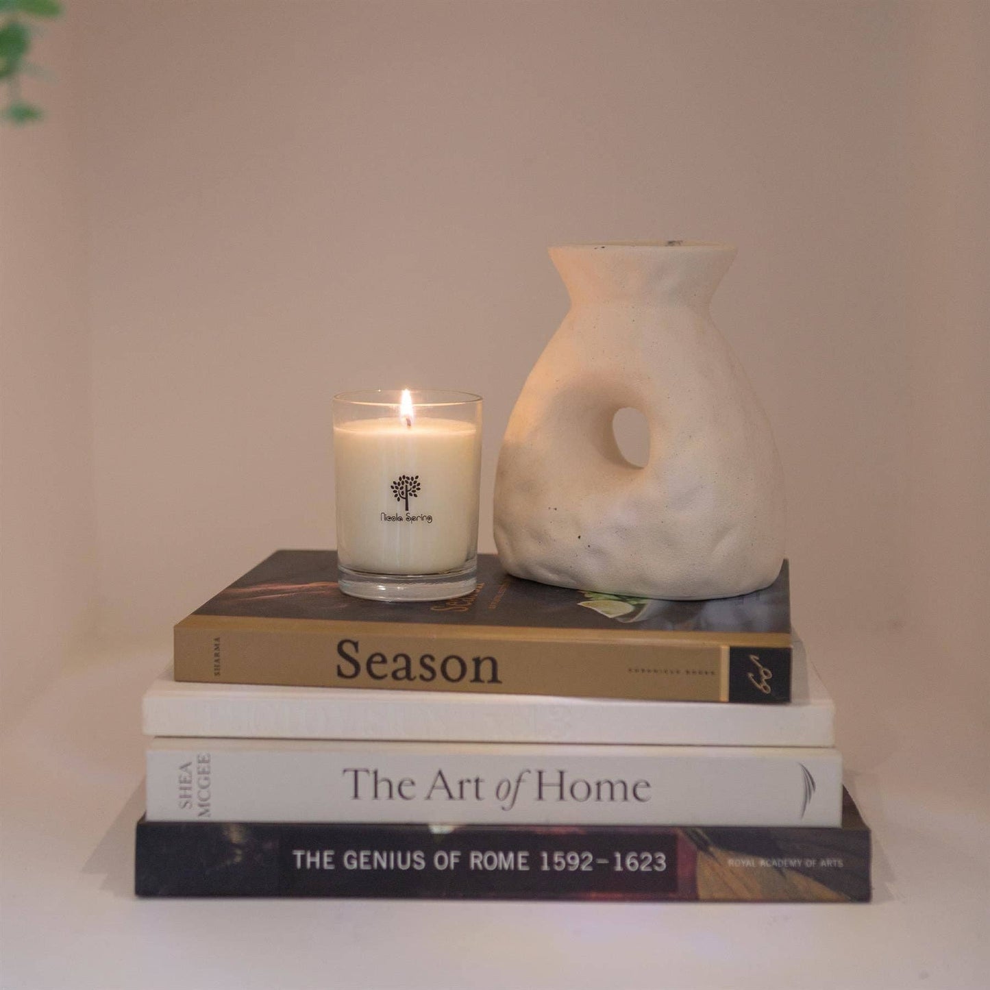 Soy Wax Scented Candle - 160g - Summer Berries