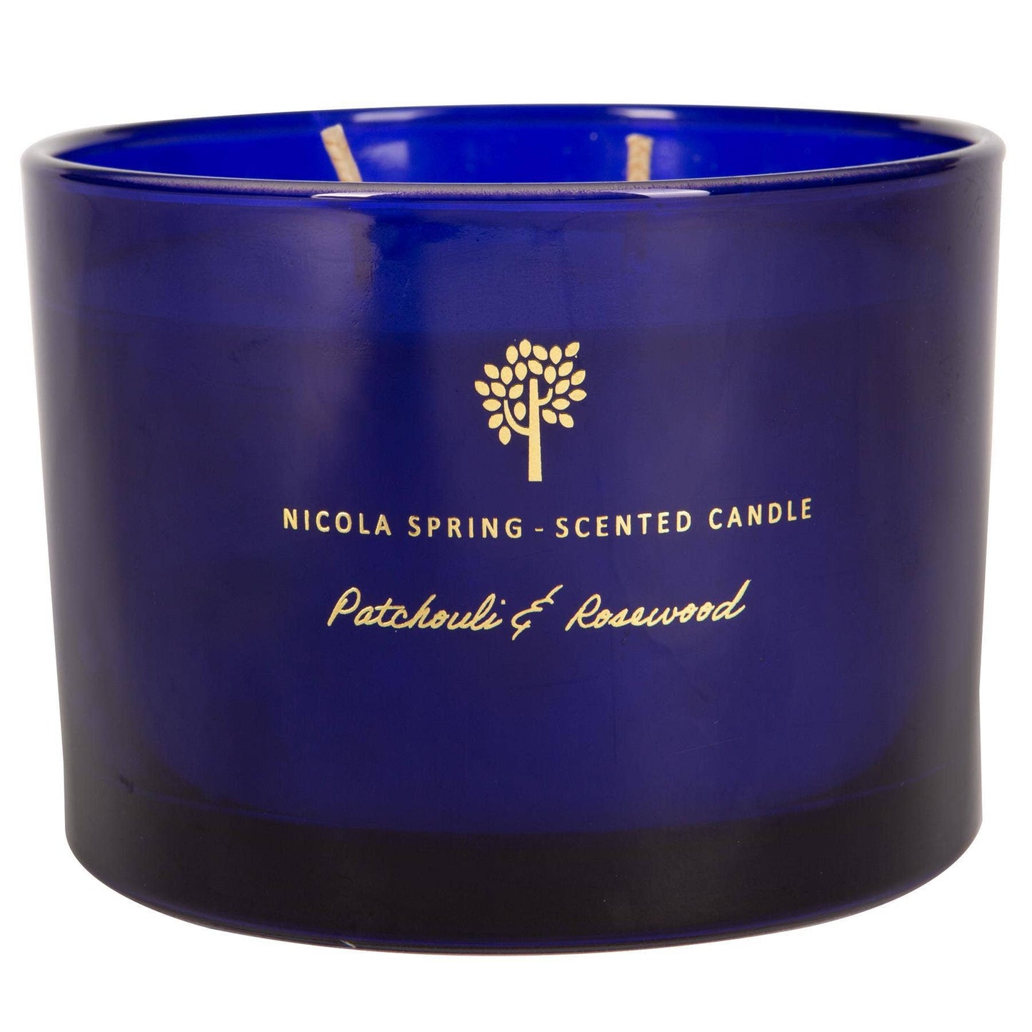 350g Double Wick Patchouli Rosewood Wax Candle Nicola Spring