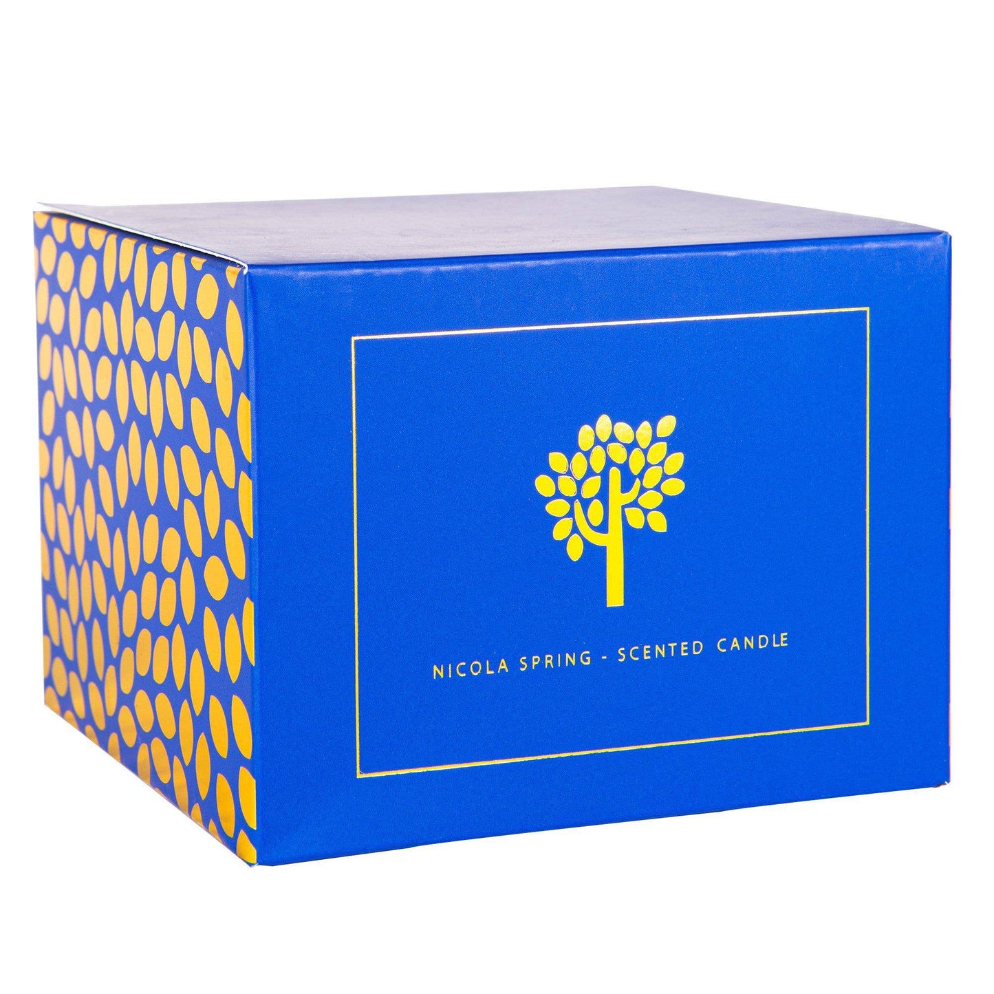 350g Double Wick Passion Fruit Wax Candle Nicola Spring