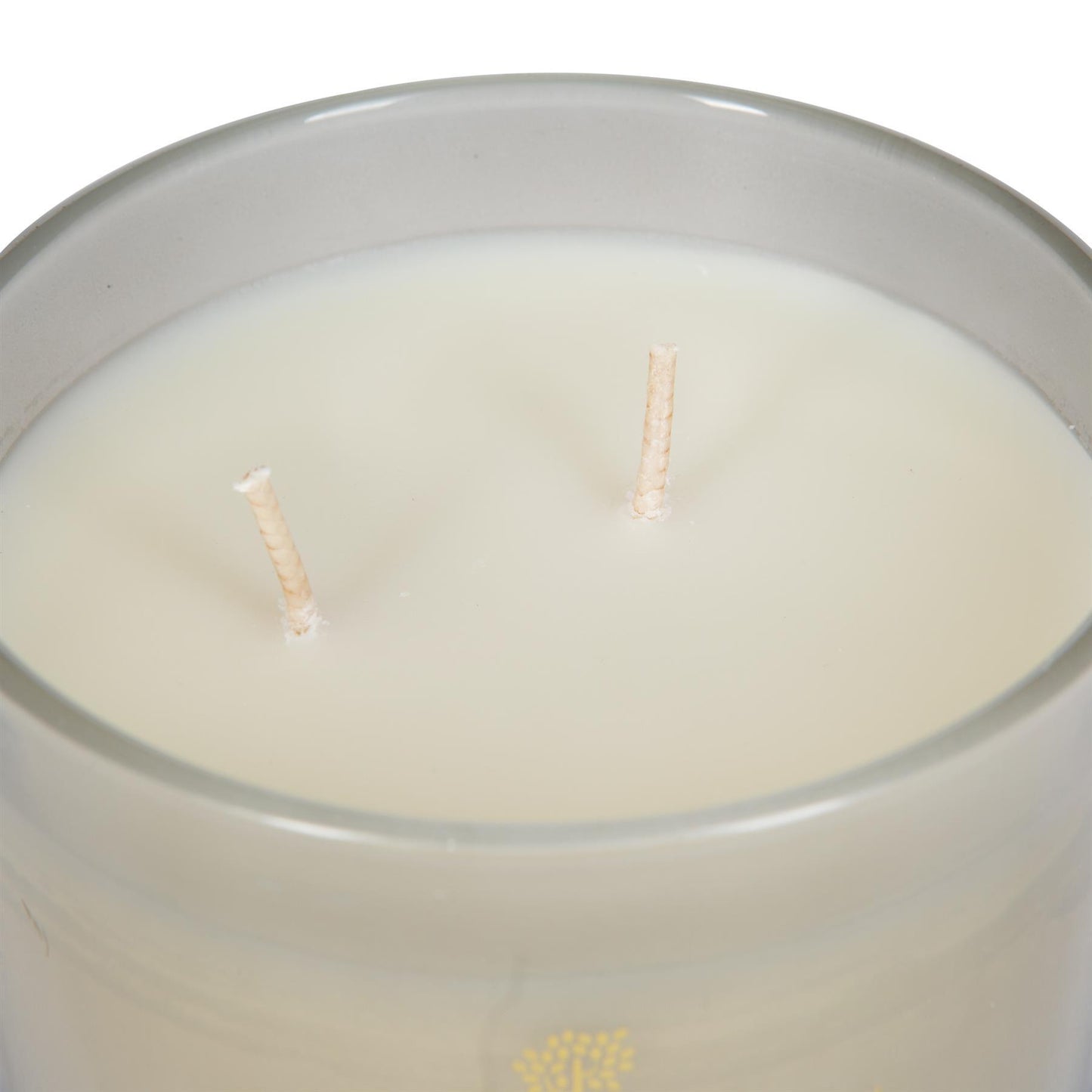 350g Double Wick Passion Fruit Wax Candle Nicola Spring