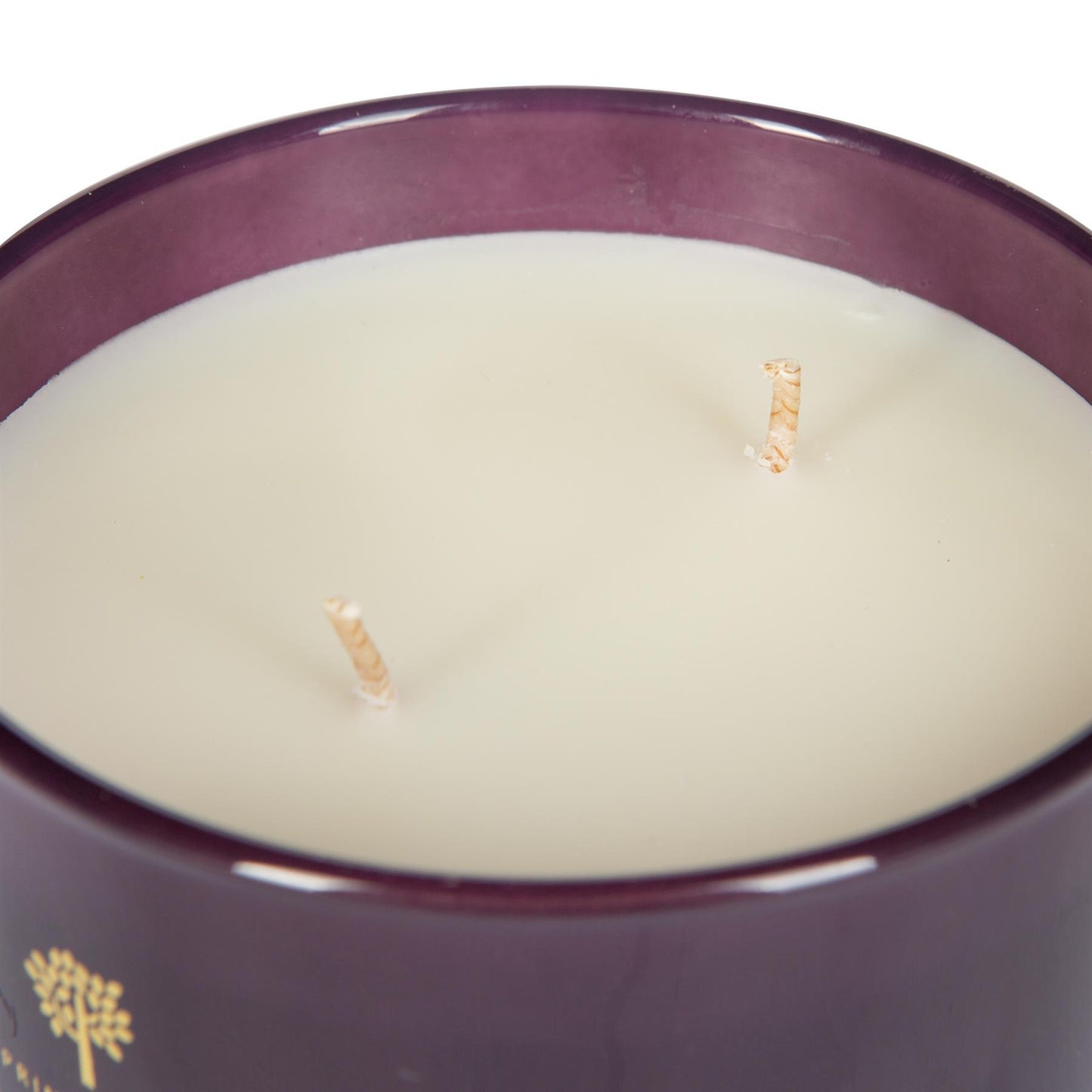 350g Double Wick Cinnamon Orange Wax Candle Nicola Spring