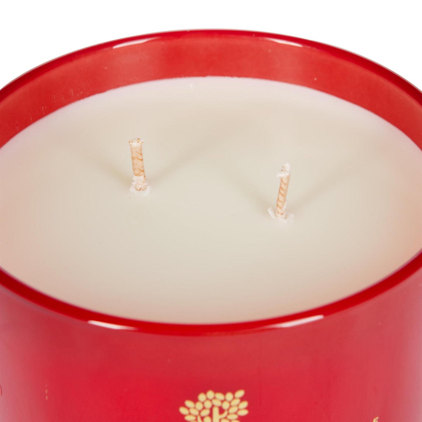 350g Double Wick Fig & Cassis Wax Candle Nicola Spring
